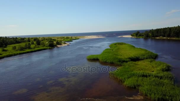 Gauja Rivière Lettonie Drone Dans Mer Baltique Vue Aérienne Uhd — Video