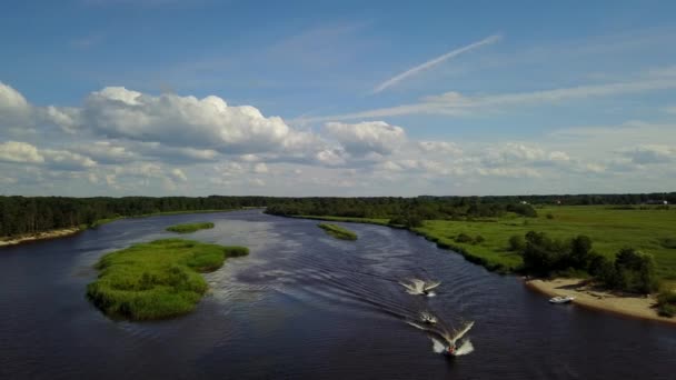 Gauja Fiume Lettonia Scarico Nel Mar Baltico Drone Aereo Vista — Video Stock