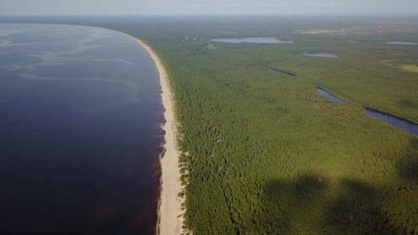 Gauja Rivière Lettonie Drone Dans Mer Baltique Vue Aérienne Uhd — Video