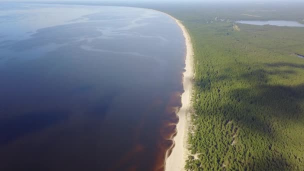 Gauja Nehri Letonya Drenaj Içine Baltık Denizi Havadan Dron Üstten — Stok video