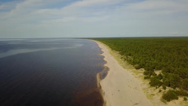 Řeky Gauja Lotyšsko Mozků Baltského Moře Letecké Dron Pohled Shora — Stock video