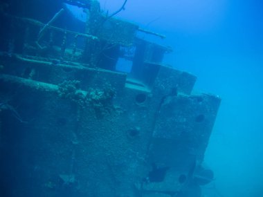 gemi enkazı Hilma fahişe Bonaire Adası Karayip Denizi sualtı