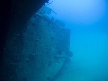gemi enkazı Hilma fahişe Bonaire Adası Karayip Denizi sualtı