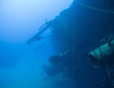 gemi enkazı Hilma fahişe Bonaire Adası Karayip Denizi sualtı