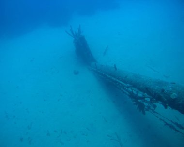 gemi enkazı Hilma fahişe Bonaire Adası Karayip Denizi sualtı