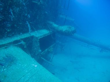 gemi enkazı Hilma fahişe Bonaire Adası Karayip Denizi sualtı