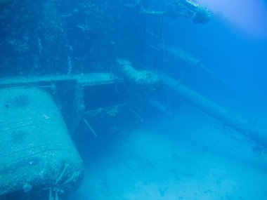 gemi enkazı Hilma fahişe Bonaire Adası Karayip Denizi sualtı