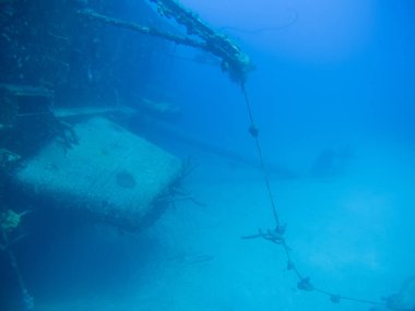gemi enkazı Hilma fahişe Bonaire Adası Karayip Denizi sualtı