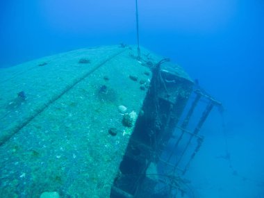 gemi enkazı Hilma fahişe Bonaire Adası Karayip Denizi sualtı