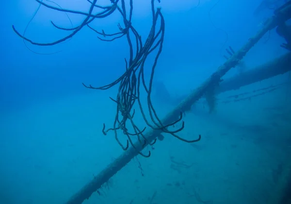 Naufrágio Navio Hilma Hooker Bonaire Ilha Mar Caribenho Subaquático — Fotografia de Stock