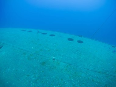 gemi enkazı Hilma fahişe Bonaire Adası Karayip Denizi sualtı