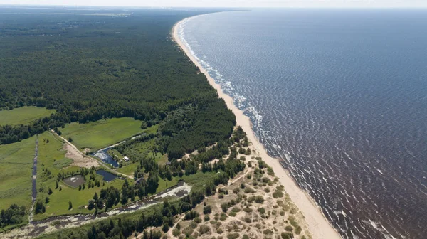 Gauja River Latvia Drain Baltic Sea Aerial Drone Top View — Stock Photo, Image