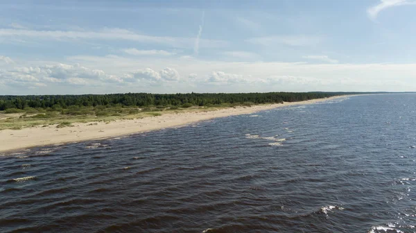 Gauja Fiume Lettonia Scarico Nel Mar Baltico Drone Aereo Vista — Foto Stock