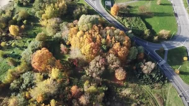 Riga Letonia Río Daugava Isla Zakusala Vista Superior Del Dron — Vídeo de stock