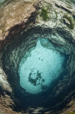 Ginnie Springs Florida Usa dalış dalgıçlar sualtı mağaraları