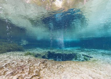 Ginnie Springs Florida Usa dalış dalgıçlar sualtı mağaraları