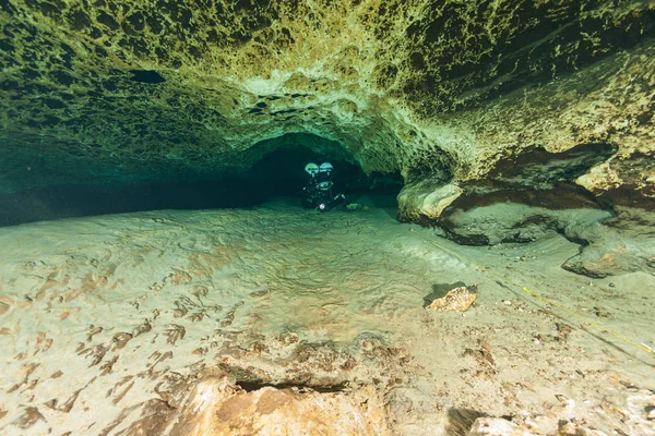 Buceadores Cuevas Submarinas Buceo Ginnie Springs Florida —  Fotos de Stock