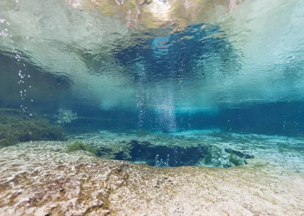 Ginnie Springs Florida Usa dalış dalgıçlar sualtı mağaraları