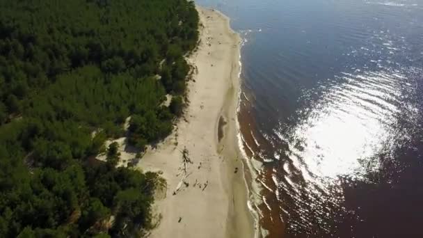 Gauja Río Letonia Desagüe Mar Báltico Avión Tripulado Vista Superior — Vídeo de stock