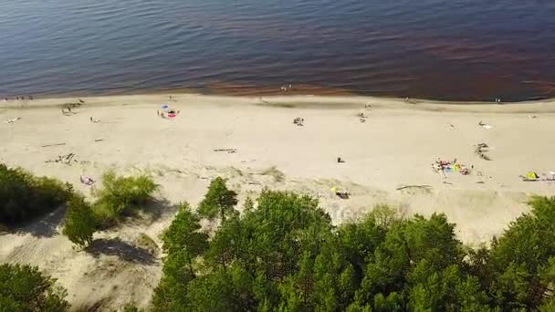 Гауя Латвії Впадають Балтійського Моря Drone Антена Вид Зверху Uhd — стокове відео