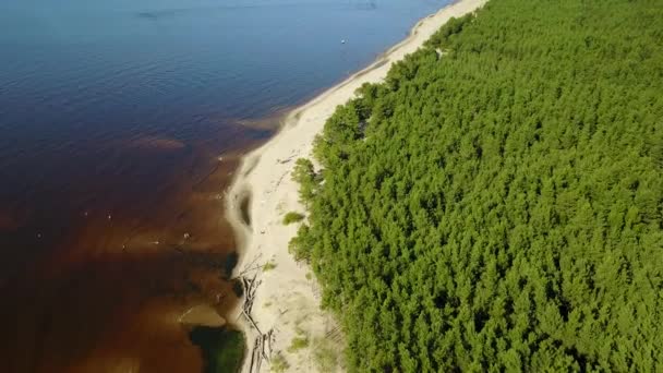 Rzeki Gauja Łotwa Drenażu Morza Bałtyckiego Antenowe Drone Widok Góry — Wideo stockowe