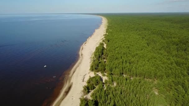 Gauja Floden Lettland Rinna Östersjön Antenn Drönare Ovanifrån Uhd Video — Stockvideo