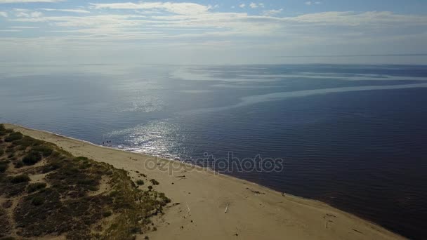 Gauja Río Letonia Desagüe Mar Báltico Avión Tripulado Vista Superior — Vídeos de Stock