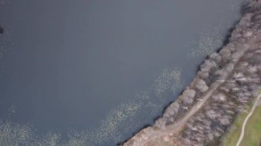 Göl Litvanya Hava dron üstten görünüm 4k Uhd video 