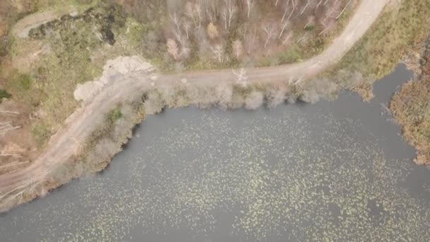 Outono Campo Golfe Costa Lago Lituânia Drone Aéreo Vista Superior — Vídeo de Stock