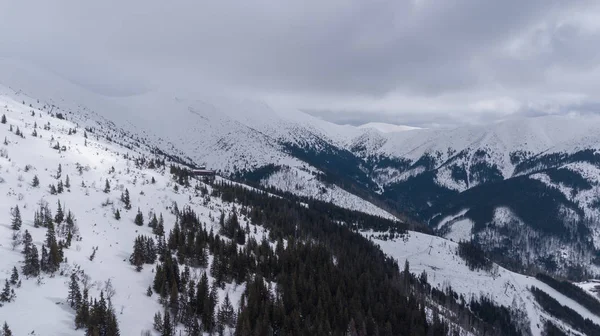 Estância Esqui Jasna Eslováquia Montanha Drone Aéreo Vista Superior — Fotografia de Stock