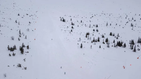 Skigebied Jasna Slowakije Mountain Aerial Drone Bovenaanzicht — Stockfoto