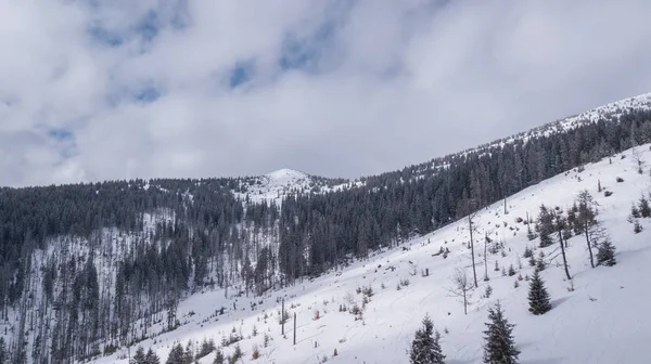 Síközpont Szlovákiában Jasna Hegyi Légi Drone Felülnézet — Stock Fotó