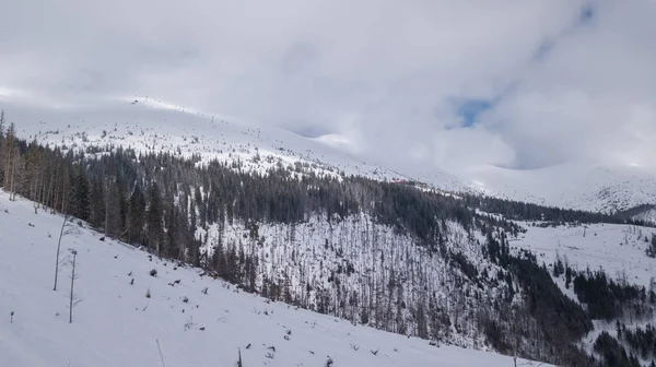 Ski Resort Jasna Slovakia Mountain Aerial Drone Top View Stock Photo