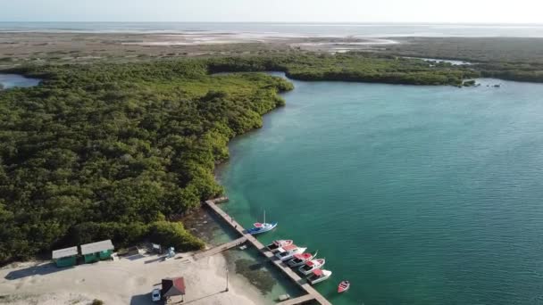 Μπονέρ Νησί Καραϊβική Θάλασσα Windsurf Λιμνοθάλασσα Sorobon Εναέριο Κηφήνα Κάτοψη — Αρχείο Βίντεο