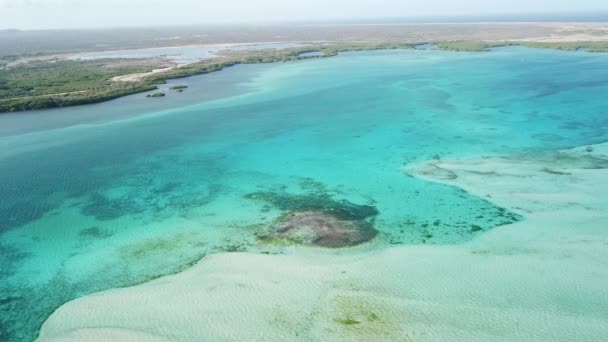 Bonaire Island Caribbean Sea Windsurf Lagoon Sorobon Aerial Drone Top — Stock Video