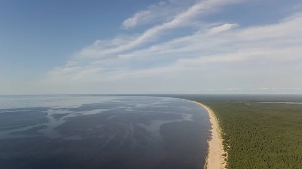 Ґауя Ріка Латвія Впадає Повітряний Безпілотник Балтійського Моря — стокове фото