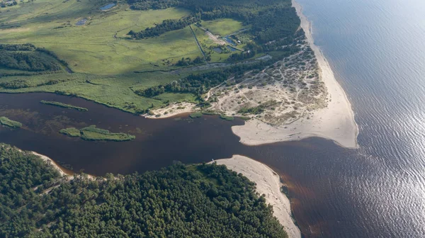 Gauja Rivière Lettonie Jettent Dans Mer Baltique Vue Aérienne Drone — Photo
