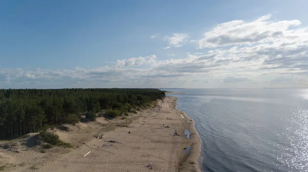 Gauja Rivière Lettonie Jettent Dans Mer Baltique Vue Aérienne Drone — Photo