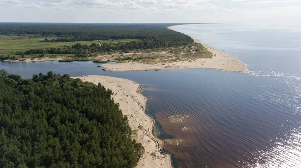 Река Гауя Латвия Впадает Балтийское Море Воздушный Беспилотник Вид Сверху — стоковое фото