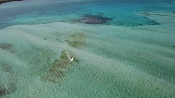 Bonaire Isla Caribe Mar Windsurf Laguna Sorobon Avión Tripulado Vista — Vídeos de Stock