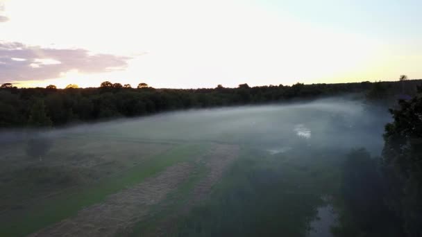 Kırsal Gauja Göl Alanı Dron Üstten Görünüm Havadan Görünümü — Stok video