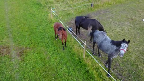 Luchtfoto Van Platteland Gauja Lake Veld Drone Bovenaanzicht Uhd Video — Stockvideo