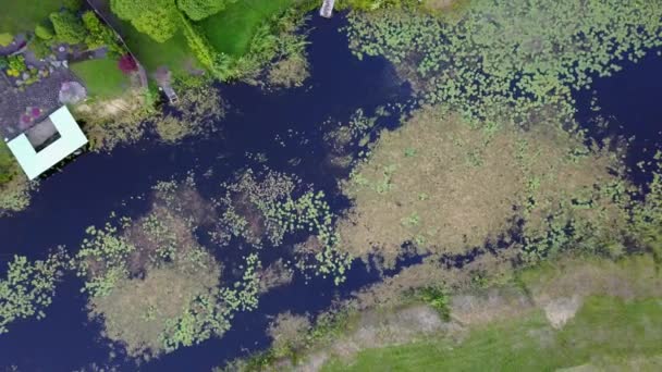 Widok Lotu Ptaka Wsi Gauja Jezioro Pole Drone Widok Góry — Wideo stockowe
