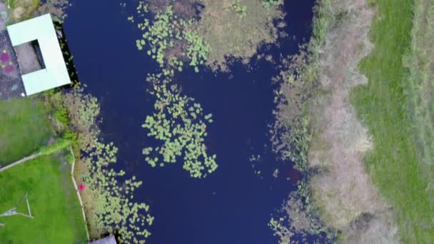 乡村鸟瞰高亚河湖场无人机俯视图 Uhd — 图库视频影像
