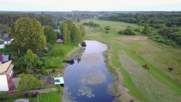 Vista Aérea Campo Gauja Lago Campo Drone Vista Superior Uhd — Vídeo de Stock