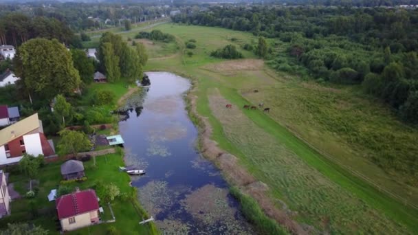 Vista Aérea Del Campo Lago Gauja Campo Drone Vista Superior — Vídeo de stock