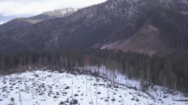 kar dağ Slovakya Kayak Kış Jasna Europa hava dron Üstten Görünüm