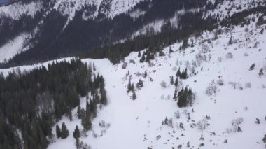 Kayak Merkezi Jasna Slovakya dağ hava dron üstten görünüm 4k