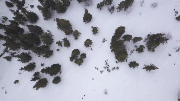 Skigebied Jasna Slowakije Mountain Aerial Drone Bovenaanzicht — Stockvideo