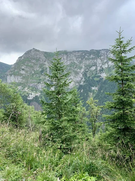 Hermosos Paisajes Montaña Escalada Trekking Senderismo Turismo Zakopane Polonia Eslovaquia —  Fotos de Stock